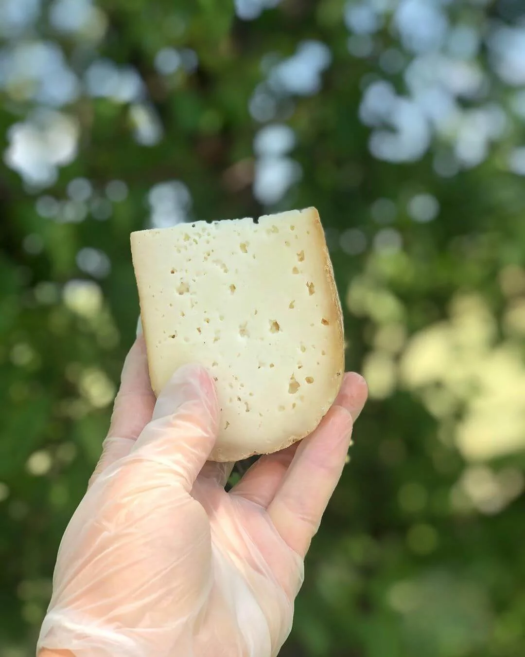 glechok_106137287_10 (1)